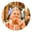 Aparna T.